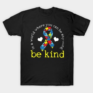 Autism Awareness When you Can be Anything Be Kind T-Shirt